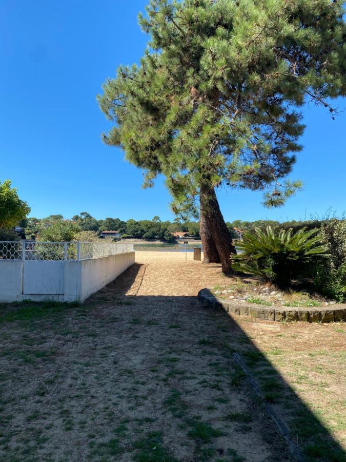 Un Cocon Climatise Au Bord Du Lac D'Hossegor Сорт-Осгор Екстериор снимка